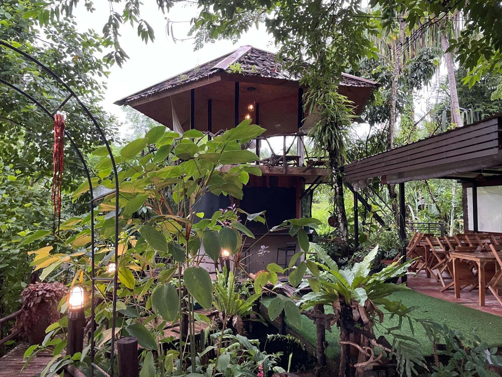 Khaosok Farmstay Khao Sok National Park Kültér fotó