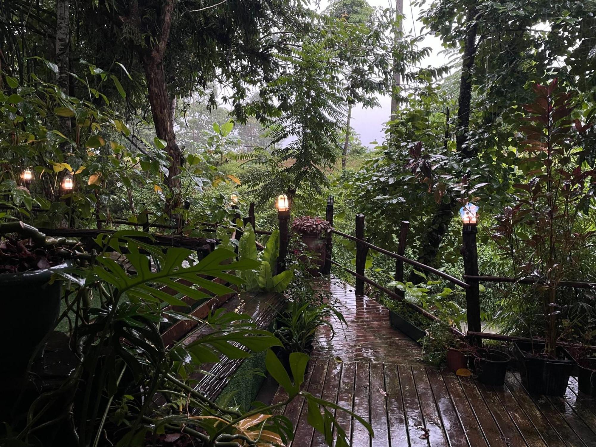 Khaosok Farmstay Khao Sok National Park Kültér fotó